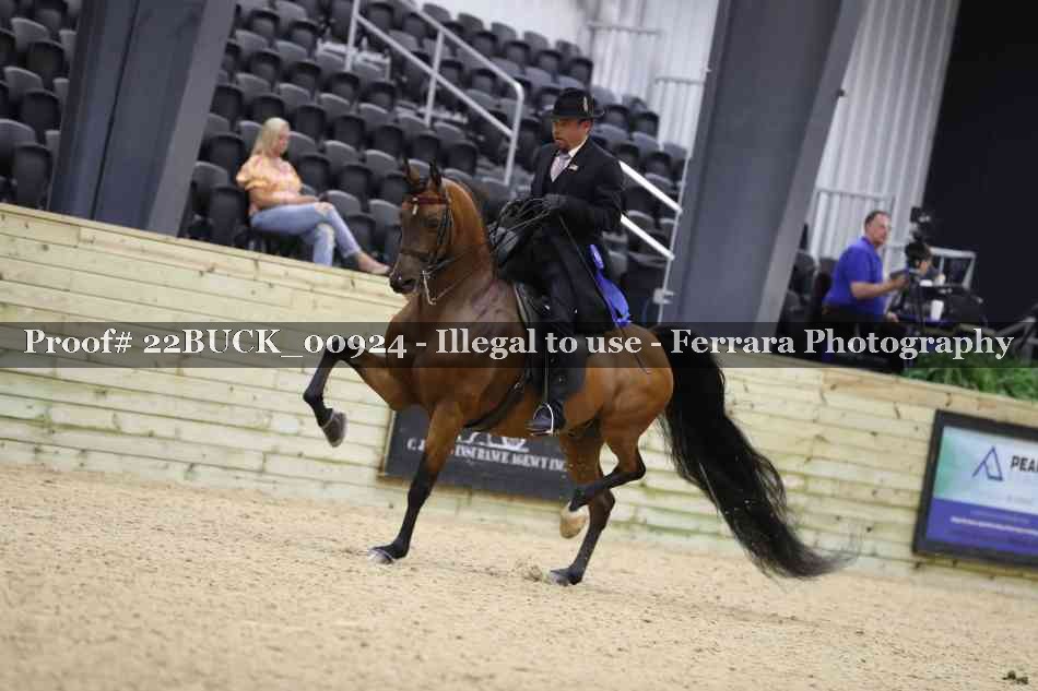 Proof 22BUCK_00924