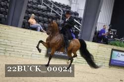 22BUCK_00924 proof