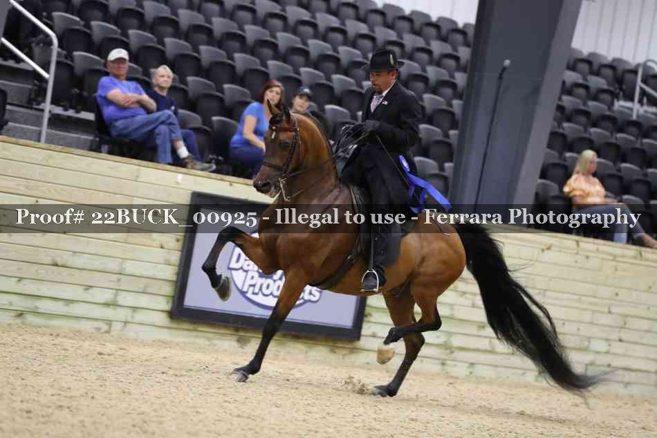 Proof 22BUCK_00925