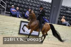 22BUCK_00925 proof