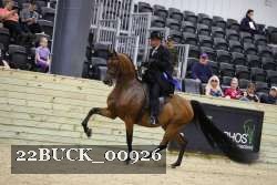 22BUCK_00926 proof