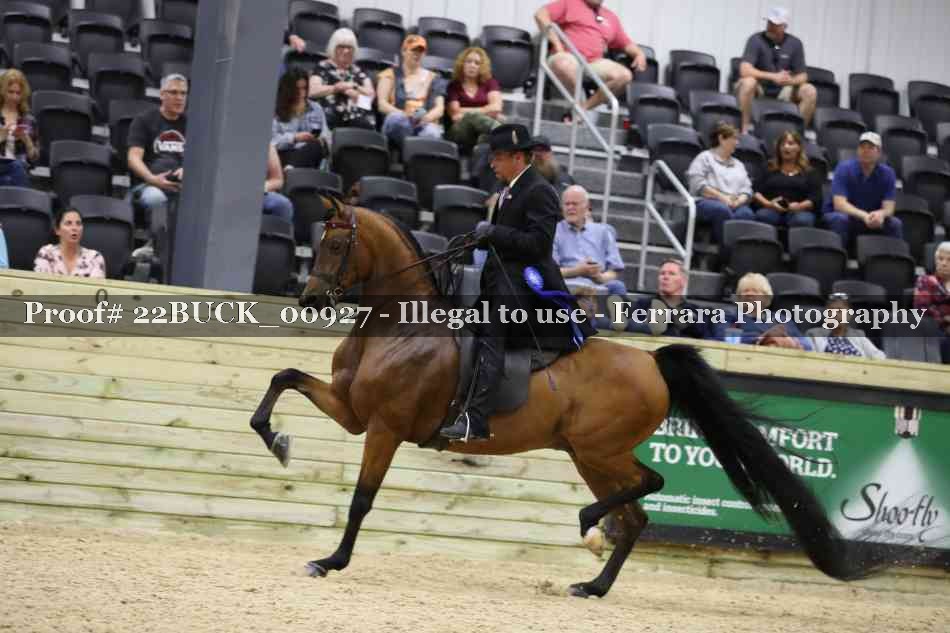 Proof 22BUCK_00927