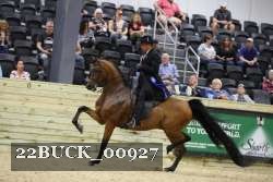 22BUCK_00927 proof
