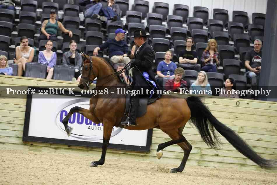 Proof 22BUCK_00928
