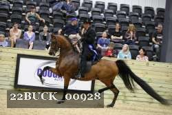 22BUCK_00928 proof
