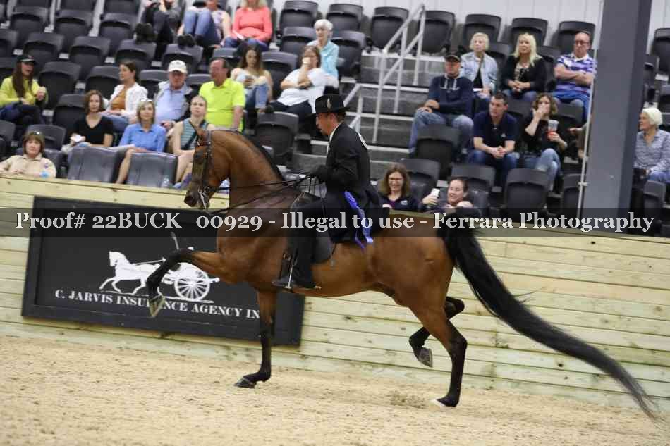 Proof 22BUCK_00929