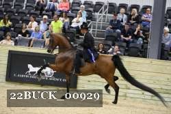 22BUCK_00929 proof