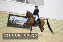 22BUCK_00930 proof