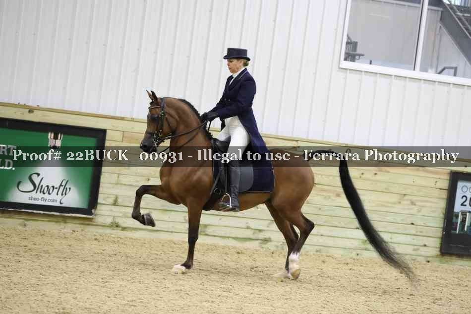Proof 22BUCK_00931