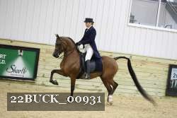 22BUCK_00931 proof