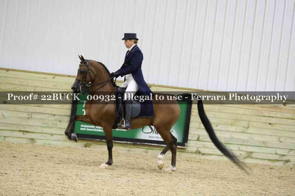 Proof 22BUCK_00932