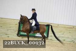 22BUCK_00932 proof