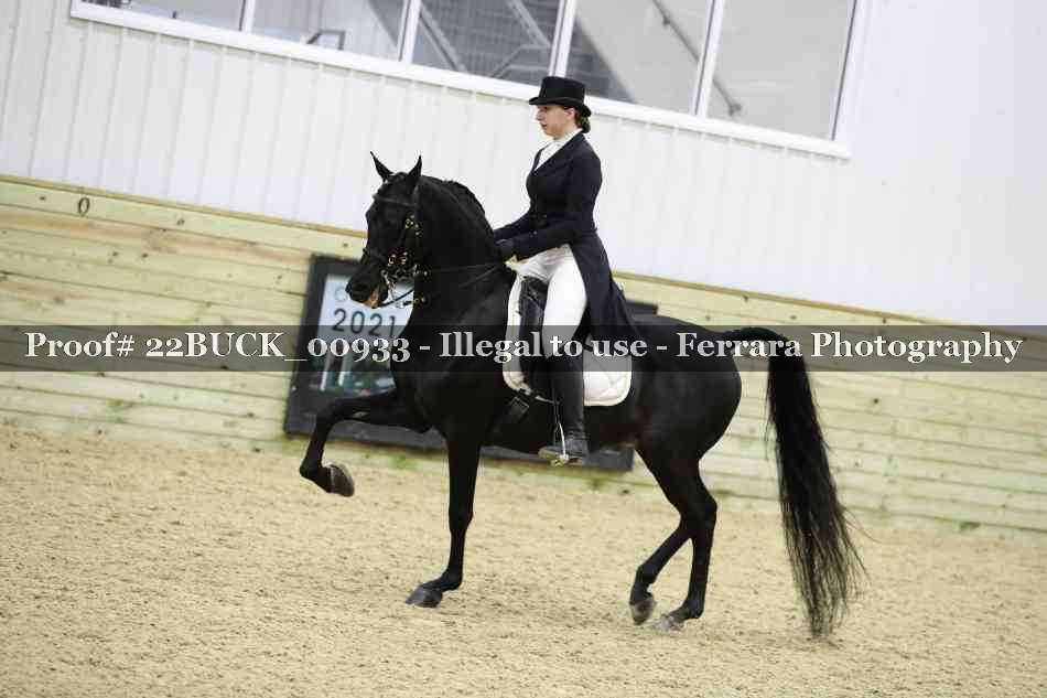 Proof 22BUCK_00933