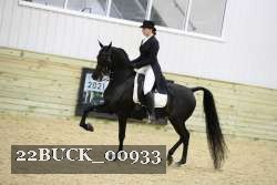22BUCK_00933 proof