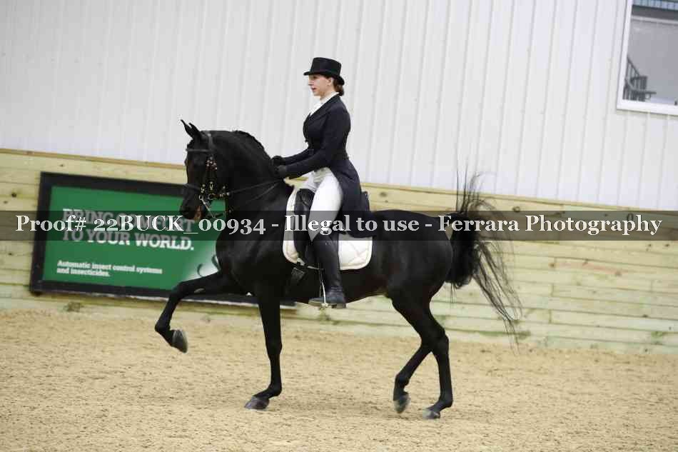 Proof 22BUCK_00934