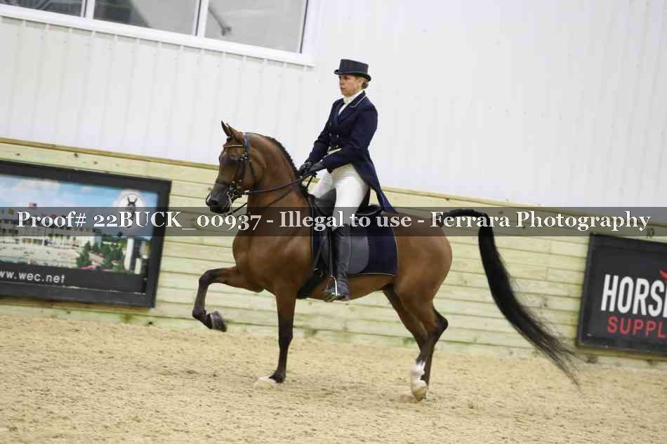 Proof 22BUCK_00937