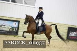 22BUCK_00937 proof