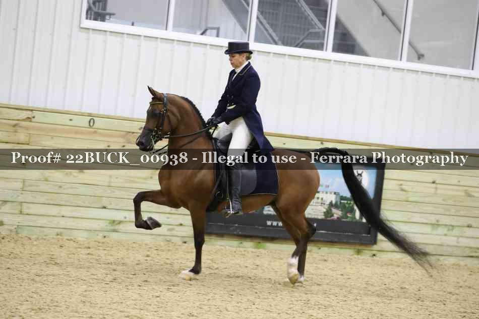 Proof 22BUCK_00938