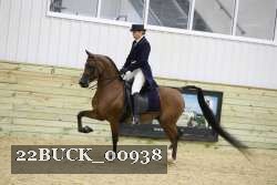 22BUCK_00938 proof