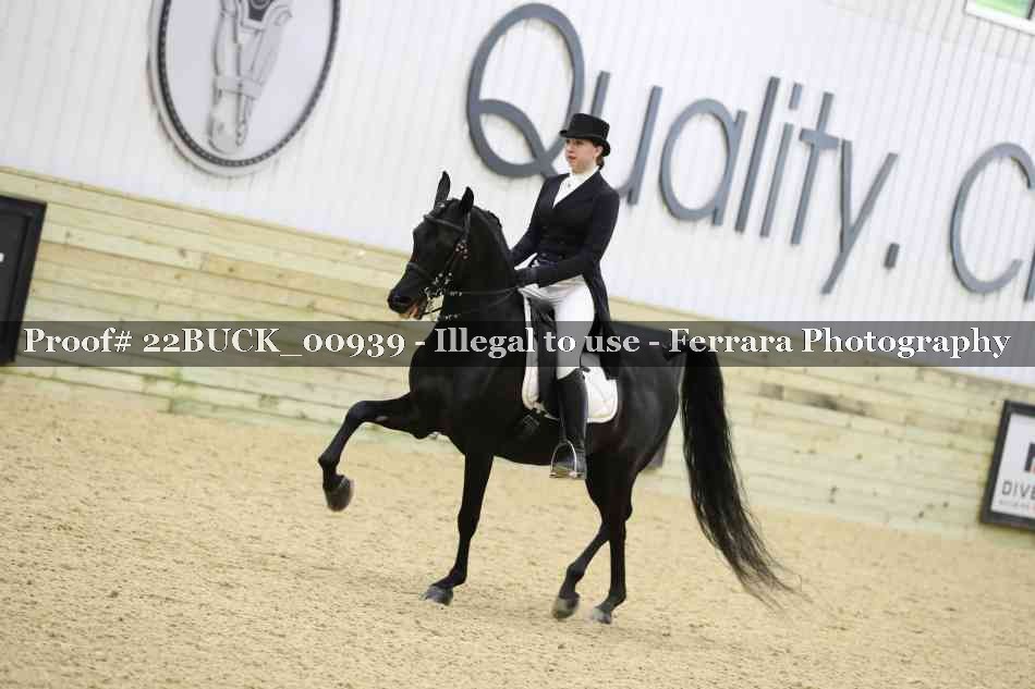 Proof 22BUCK_00939