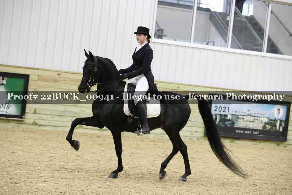 Proof 22BUCK_00941