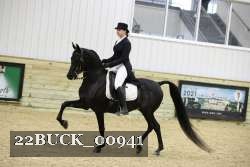 22BUCK_00941 proof