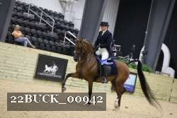 22BUCK_00942 proof