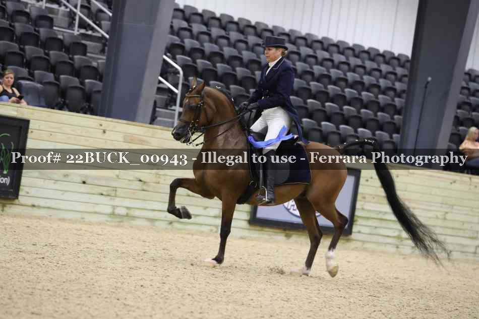Proof 22BUCK_00943