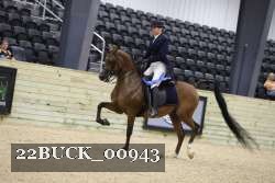 22BUCK_00943 proof
