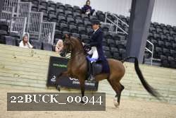 22BUCK_00944 proof