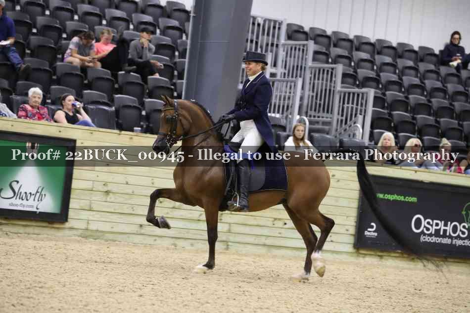 Proof 22BUCK_00945