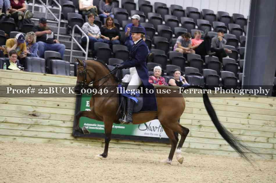 Proof 22BUCK_00946
