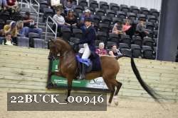 22BUCK_00946 proof