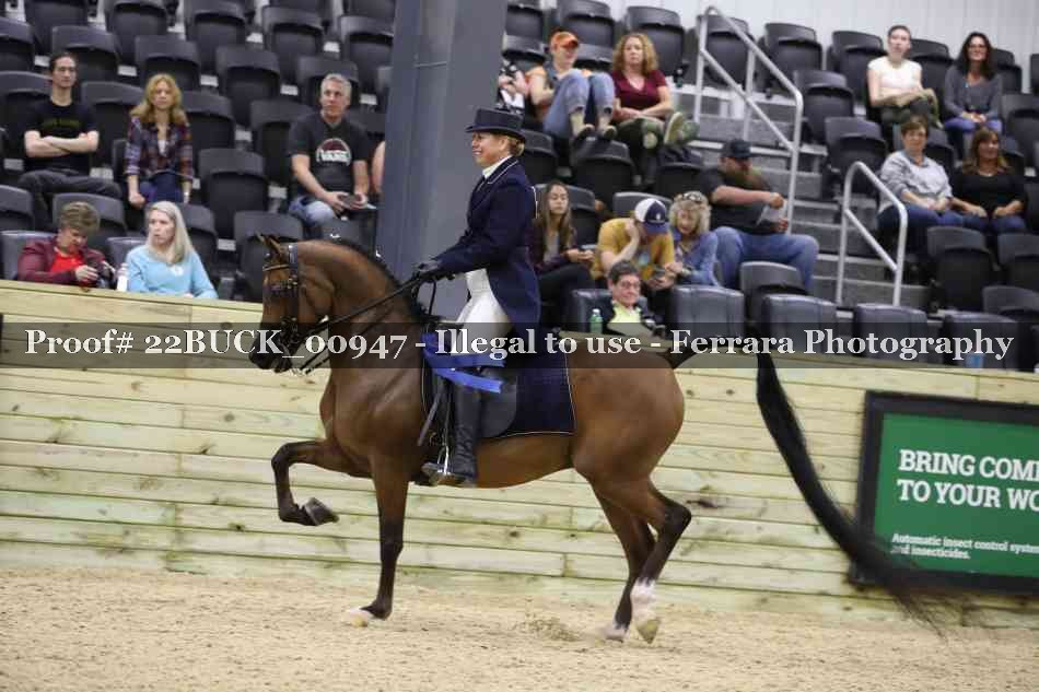 Proof 22BUCK_00947