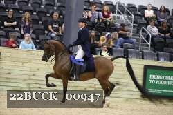 22BUCK_00947 proof