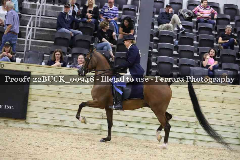 Proof 22BUCK_00948