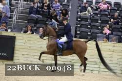 22BUCK_00948 proof