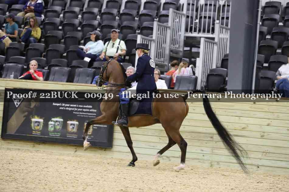 Proof 22BUCK_00949