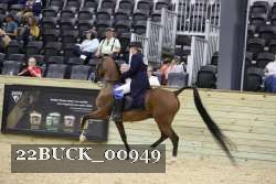 22BUCK_00949 proof
