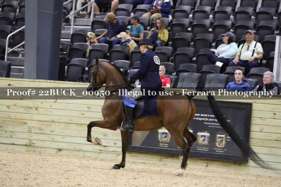 Proof 22BUCK_00950