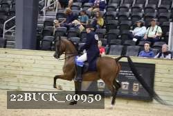 22BUCK_00950 proof