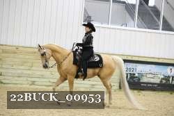 22BUCK_00953 proof