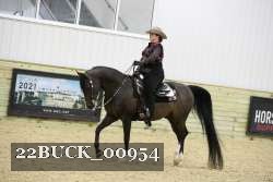 22BUCK_00954 proof
