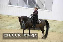 22BUCK_00955 proof