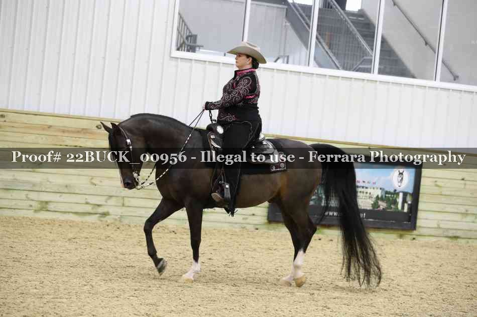 Proof 22BUCK_00956