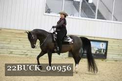 22BUCK_00956 proof