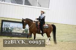 22BUCK_00957 proof