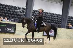 22BUCK_00962 proof