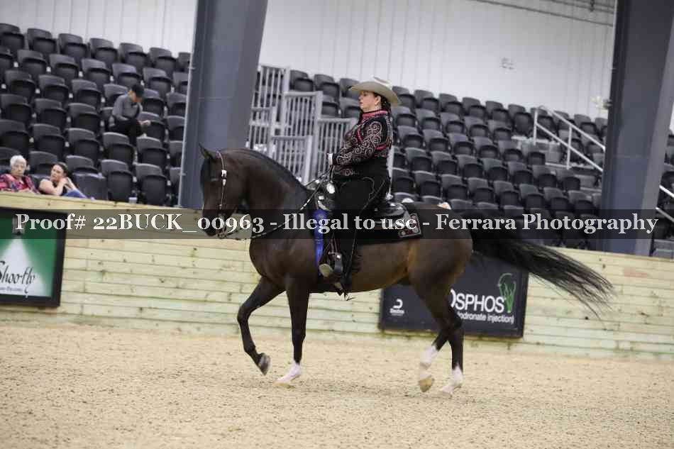 Proof 22BUCK_00963