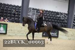 22BUCK_00963 proof